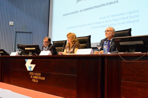  A extinci&oacute;n colectiva: marco legal, marco regulamentario e xurisprudencia  - O Estatuto básico do empregado público: reflexións, estado da cuestión e impacto da crise